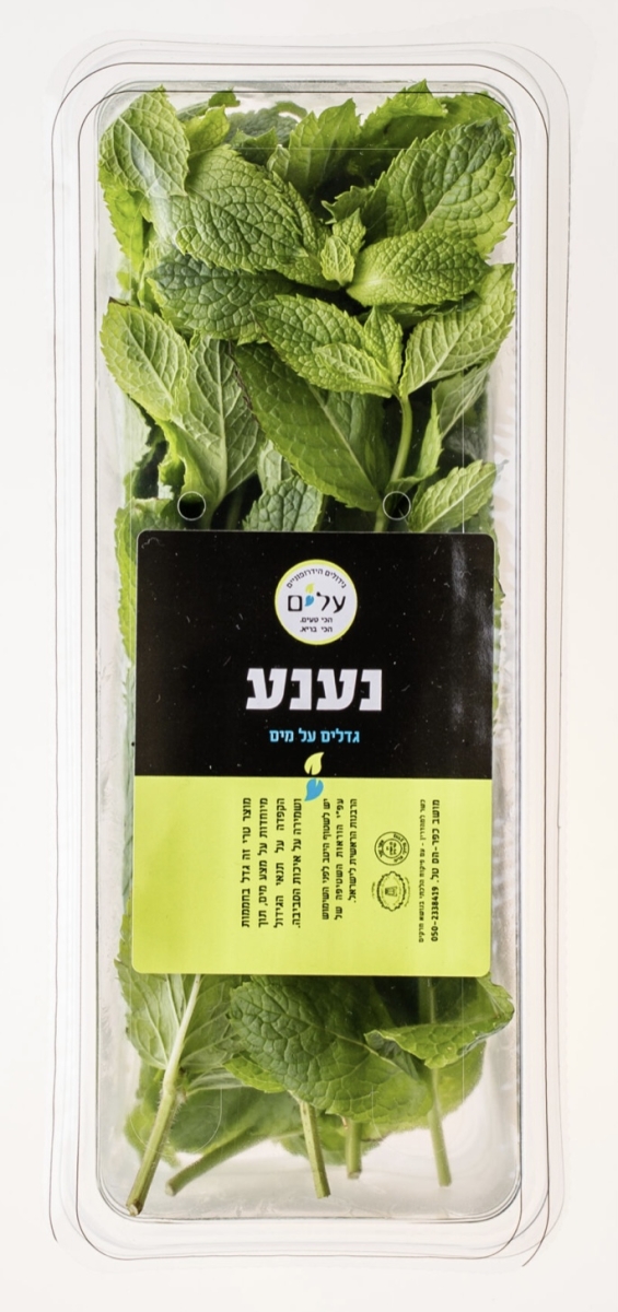 נענע מהדרין ( מארז )