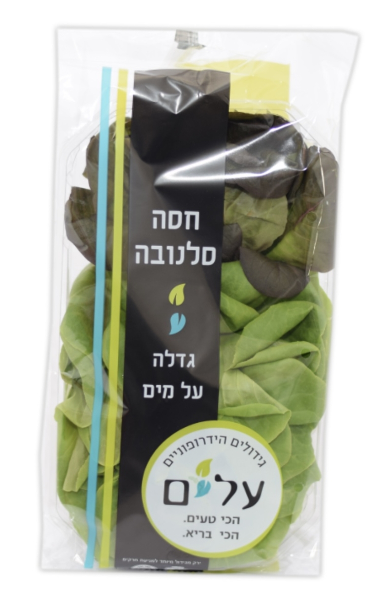 חסה סלנובה מהדרין (מארז)