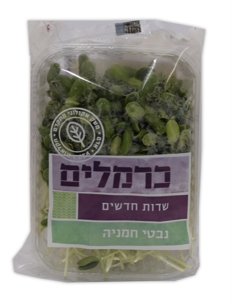 נבטי חמניה כרמלים ( מארז )